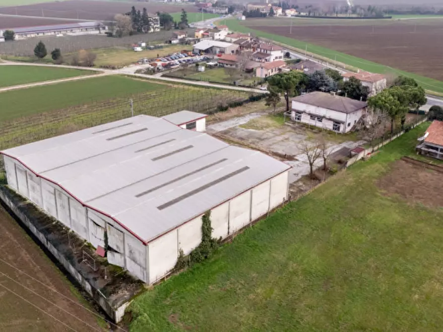 Immagine 1 di Casa indipendente in vendita  in Via Tiro a Segno a Cologna Veneta