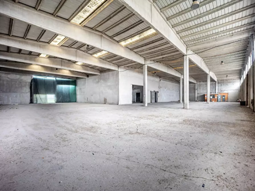 Immagine 5 di Casa indipendente in vendita  in Via Tiro a Segno a Cologna Veneta