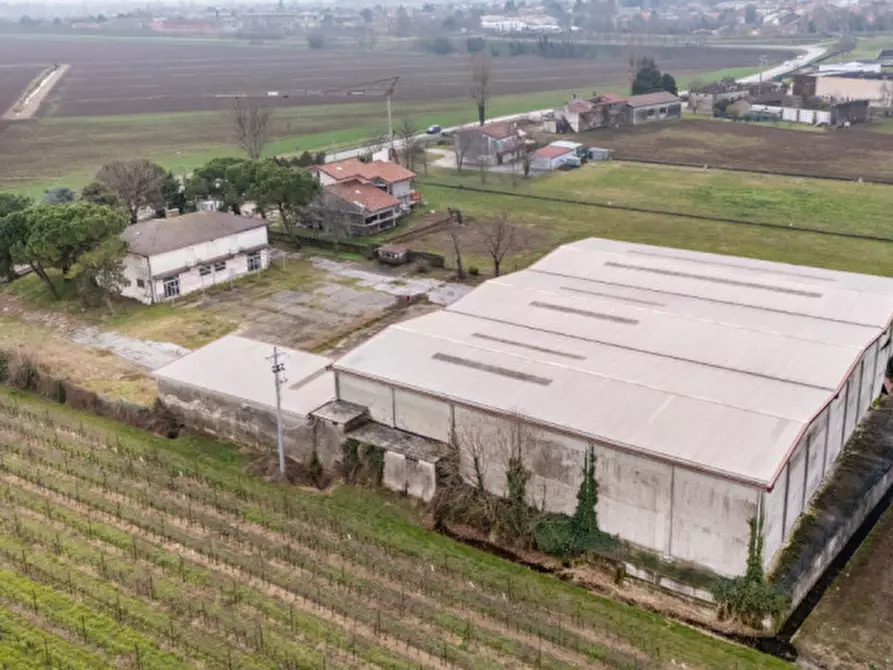 Immagine 14 di Casa indipendente in vendita  in Via Tiro a Segno a Cologna Veneta