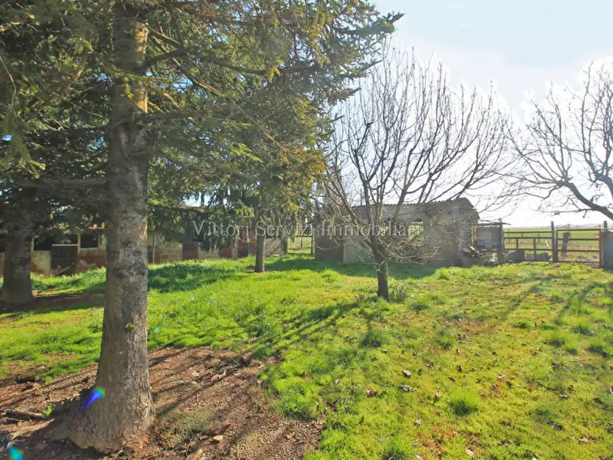 Immagine 22 di Casa indipendente in vendita  in Via Giacomo Leopardi a Montepulciano