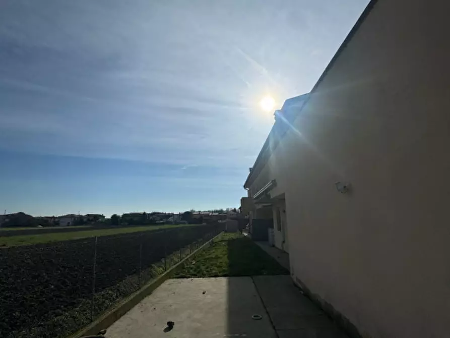 Immagine 15 di Appartamento in vendita  in Via Sant'Antonio a Anguillara Veneta