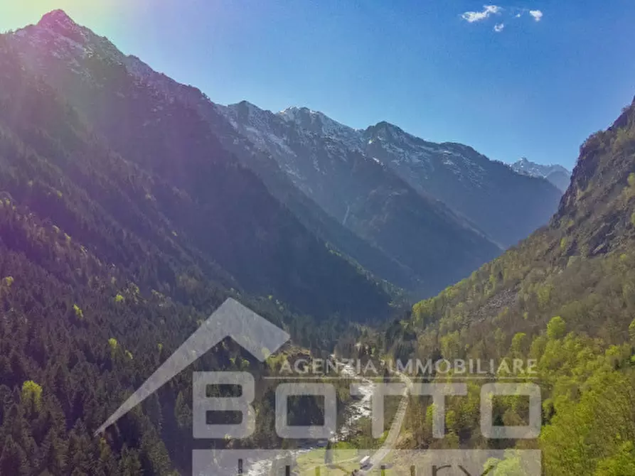 Immagine 3 di Rustico / casale in vendita  in piana toni a Mollia