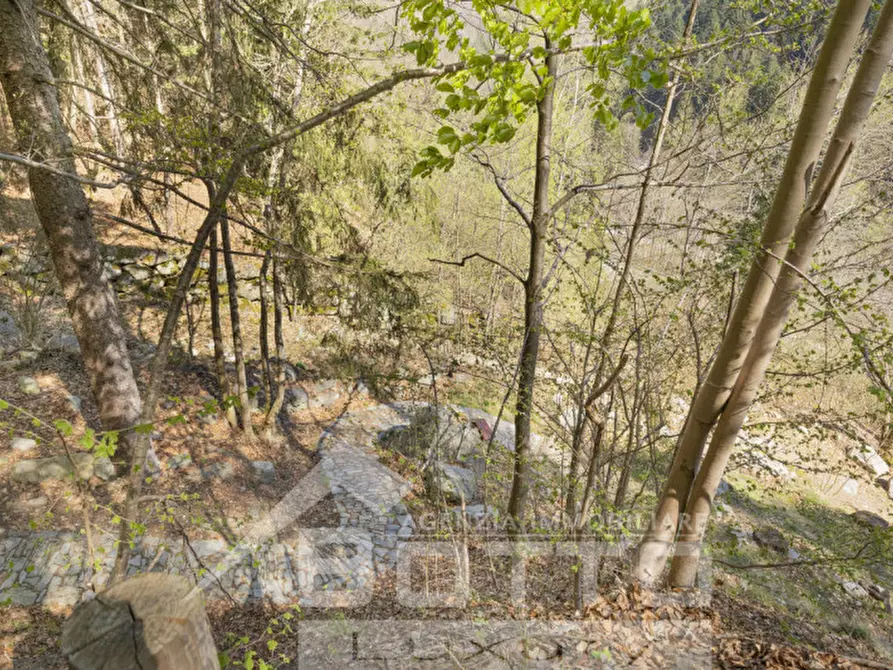 Immagine 9 di Rustico / casale in vendita  in piana toni a Mollia
