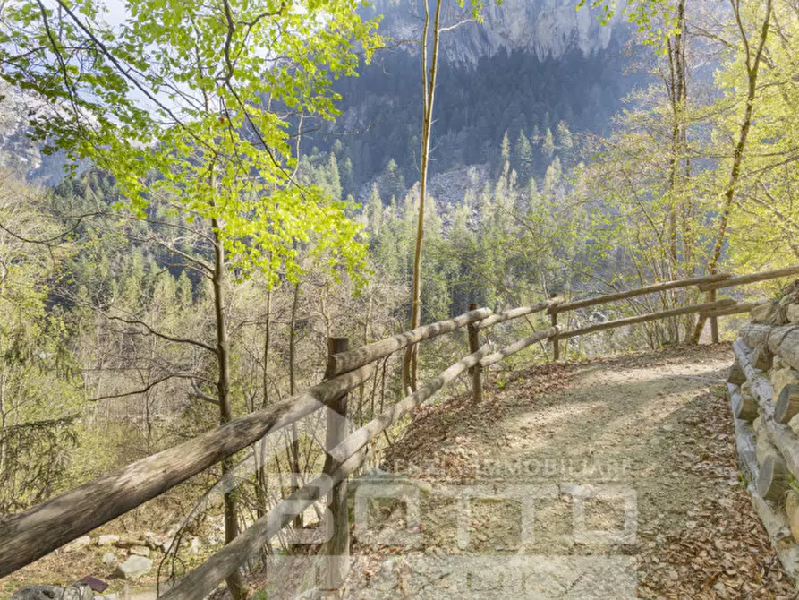 Immagine 10 di Rustico / casale in vendita  in piana toni a Mollia