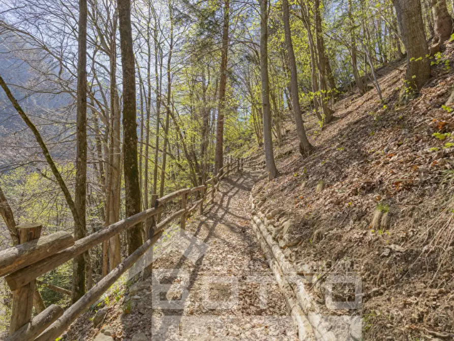 Immagine 11 di Rustico / casale in vendita  in piana toni a Mollia