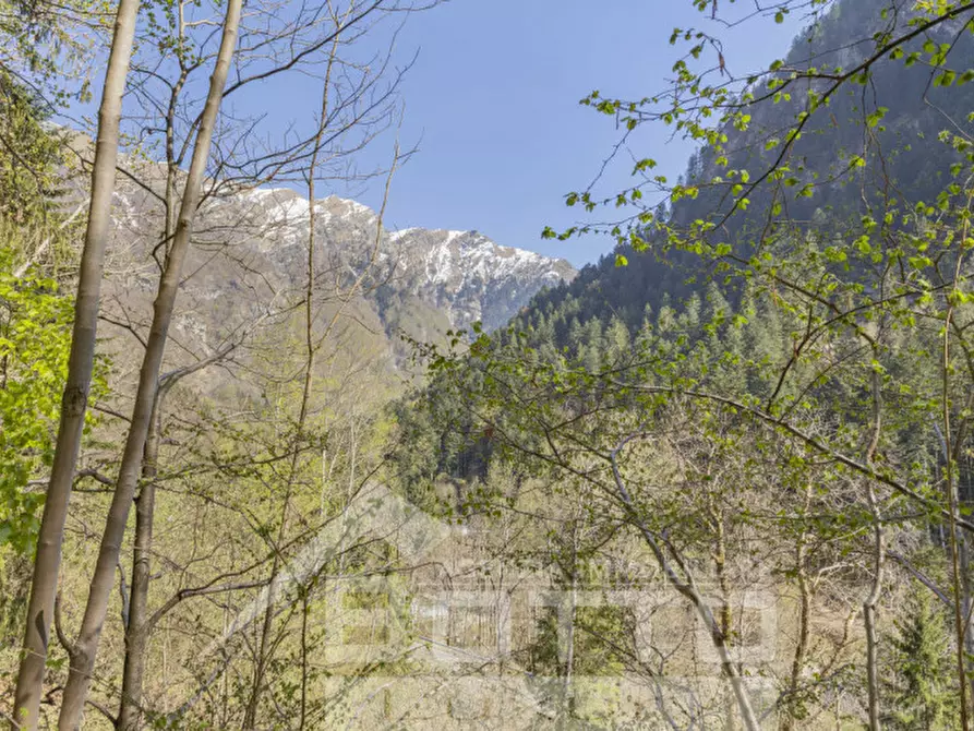 Immagine 12 di Rustico / casale in vendita  in piana toni a Mollia