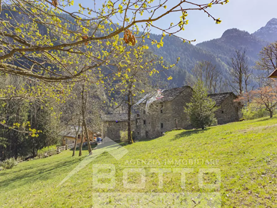 Immagine 14 di Rustico / casale in vendita  in piana toni a Mollia