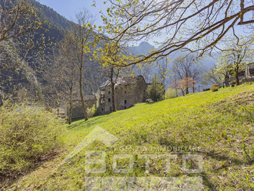 Immagine 15 di Rustico / casale in vendita  in piana toni a Mollia