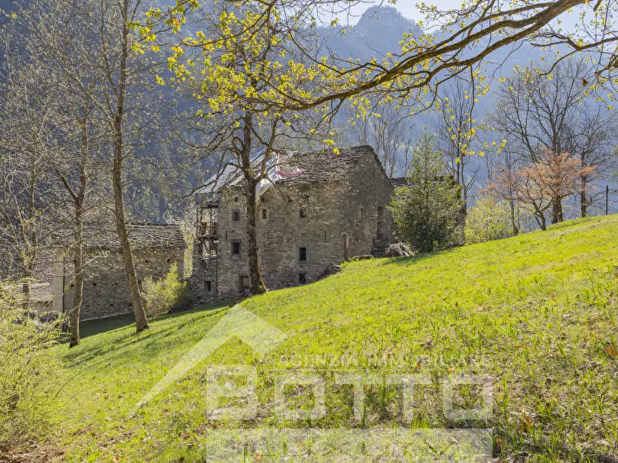 Immagine 16 di Rustico / casale in vendita  in piana toni a Mollia