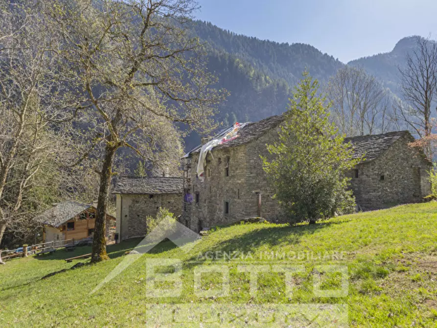 Immagine 19 di Rustico / casale in vendita  in piana toni a Mollia