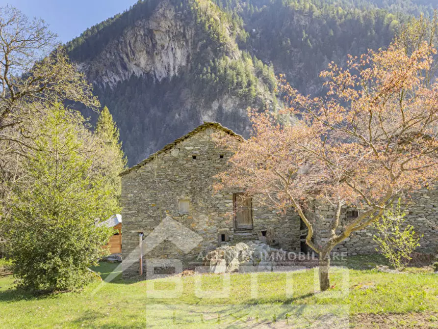 Immagine 20 di Rustico / casale in vendita  in piana toni a Mollia