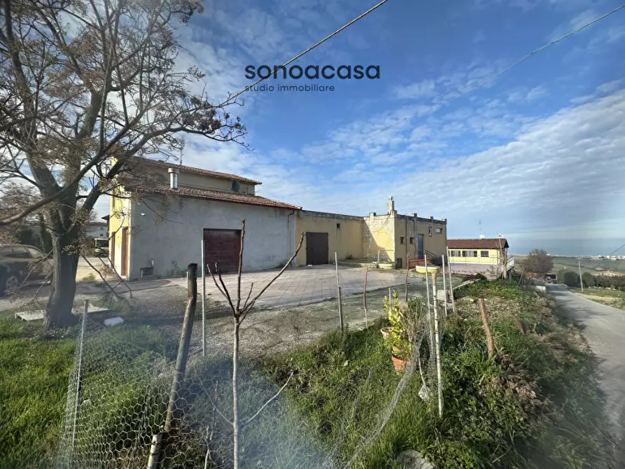 Immagine 11 di Casa indipendente in vendita  in Strada Mondolfo 51 a San Costanzo