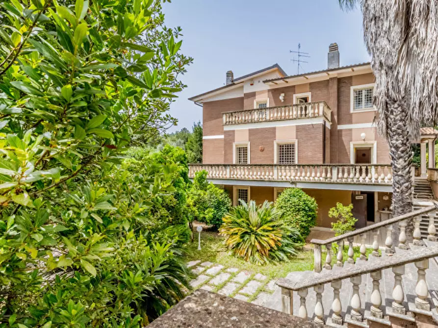 Immagine 4 di Villa in vendita  in Colle degli Dei a Velletri