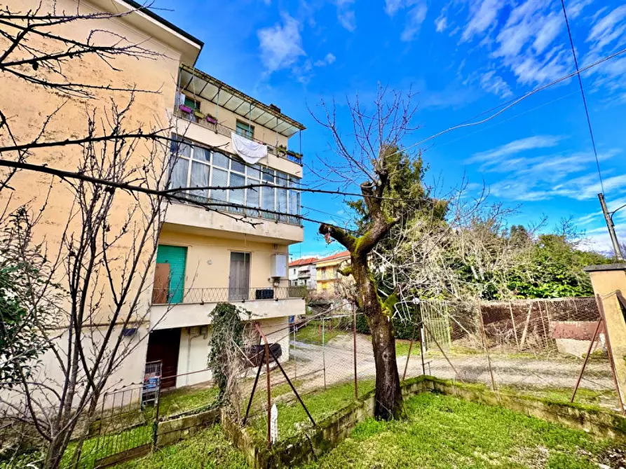 Immagine 2 di Cantina in vendita  in Via Giuseppe Pennesi, 9 a Rieti