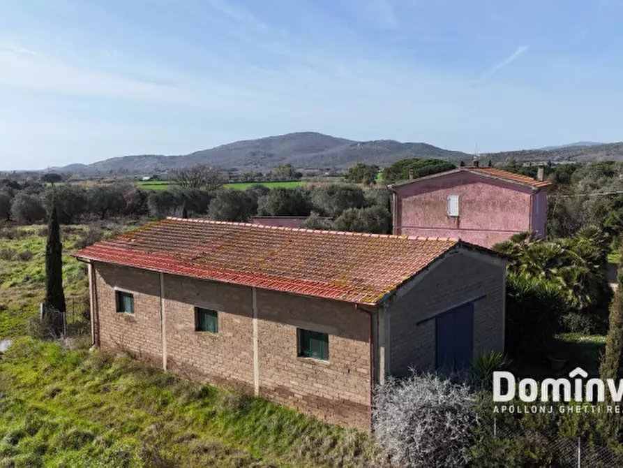 Immagine 8 di Rustico / casale in vendita  in Strada Poggetti a Capalbio