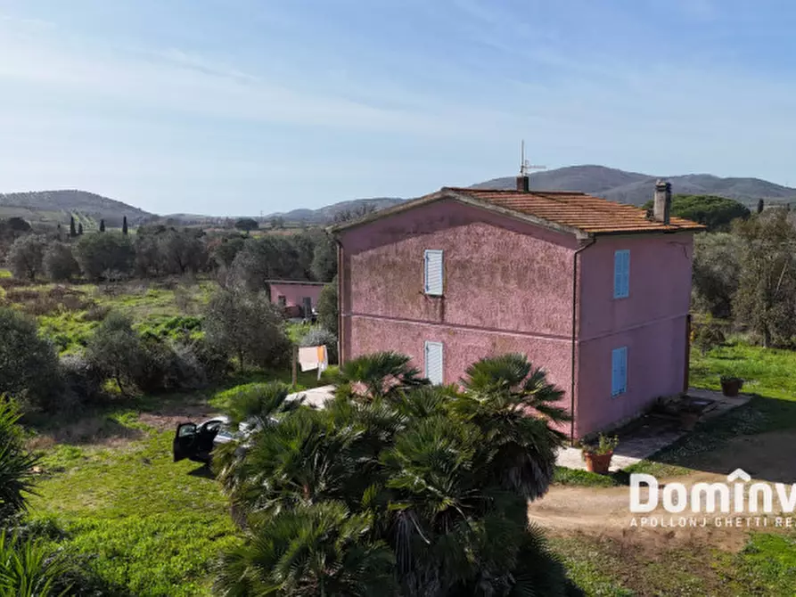 Immagine 9 di Rustico / casale in vendita  in Strada Poggetti a Capalbio