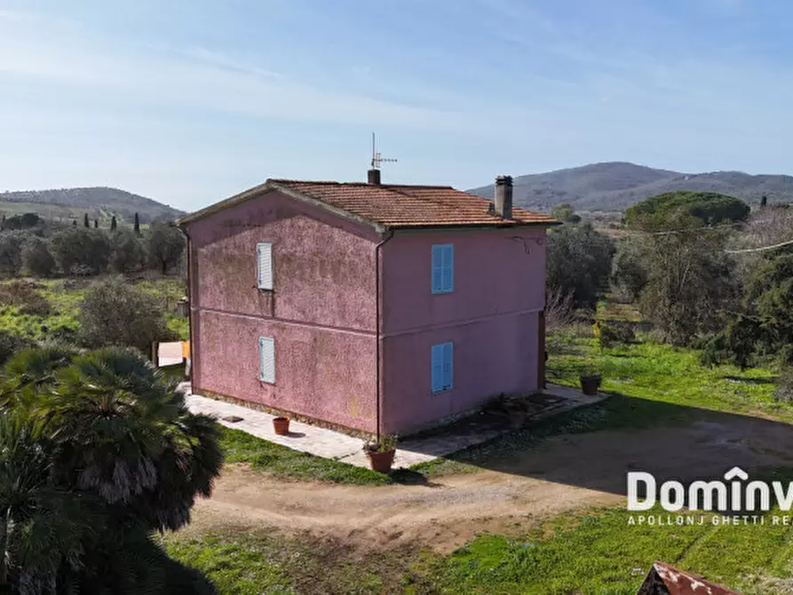 Immagine 10 di Rustico / casale in vendita  in Strada Poggetti a Capalbio