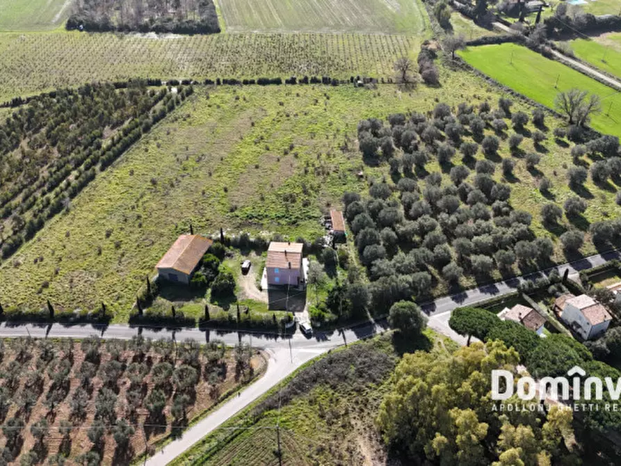 Immagine 11 di Rustico / casale in vendita  in Strada Poggetti a Capalbio