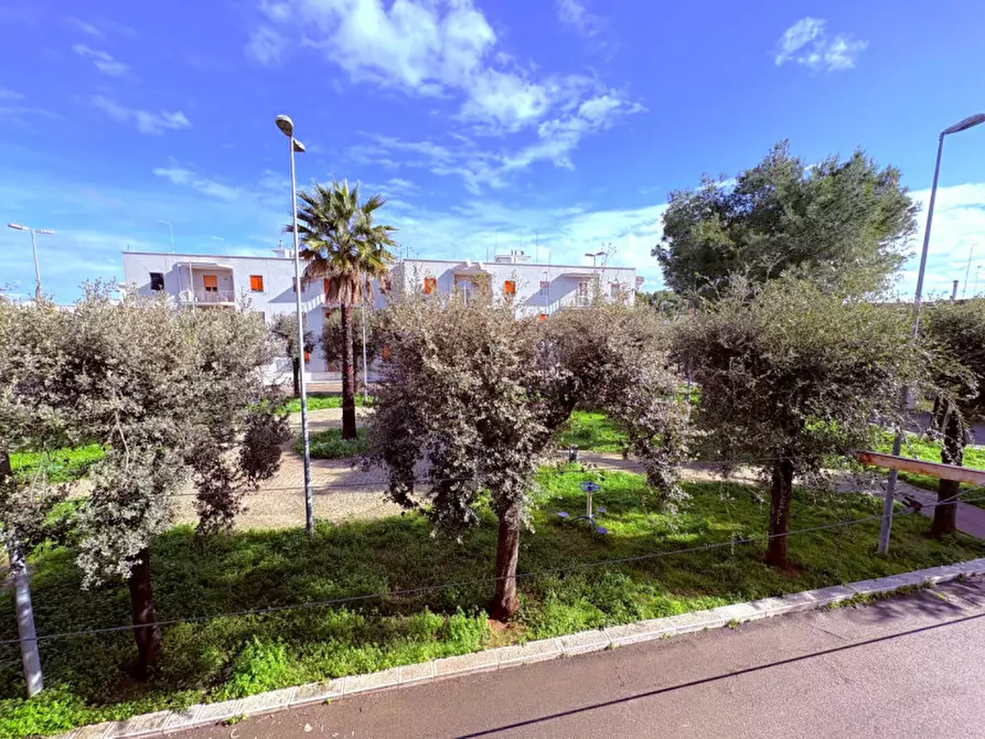 Immagine 15 di Appartamento in vendita  in via Monte Grappa 196 a Squinzano