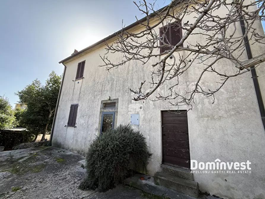 Immagine 1 di Rustico / casale in vendita  in Via Nuova a Capalbio