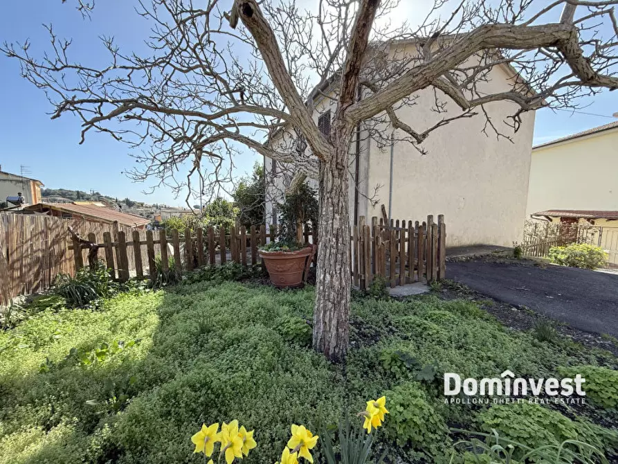 Immagine 2 di Rustico / casale in vendita  in Via Nuova a Capalbio