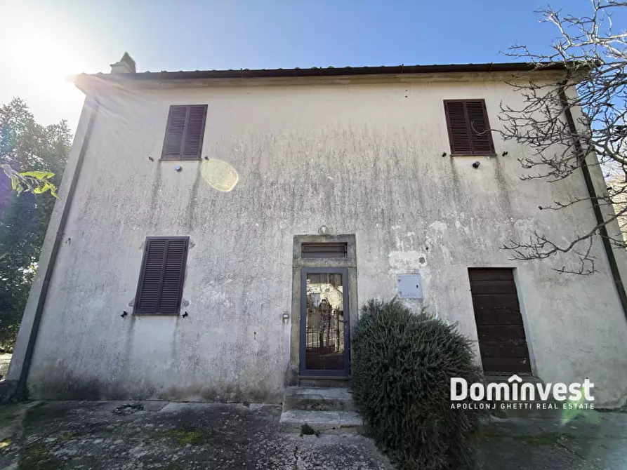 Immagine 14 di Rustico / casale in vendita  in Via Nuova a Capalbio