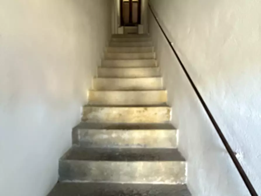 Immagine 17 di Rustico / casale in vendita  in Via Nuova a Capalbio