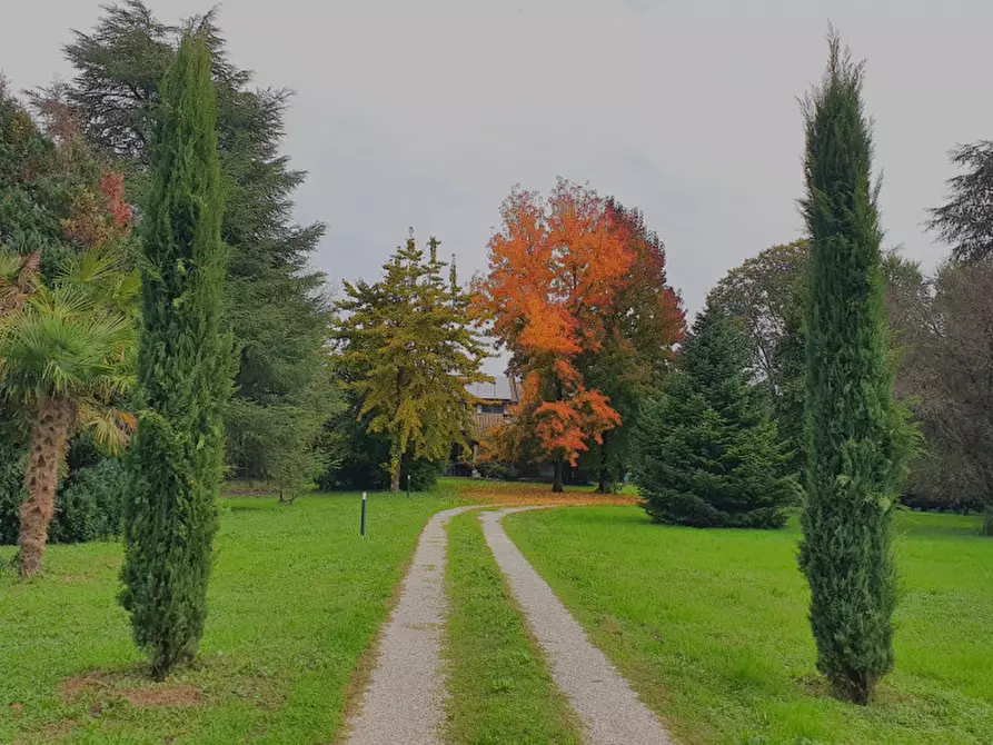 Immagine 23 di Villa in vendita  in Via Andrea Gloria a Teolo