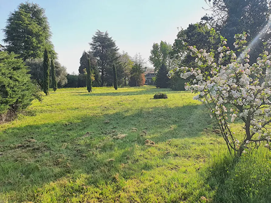 Immagine 24 di Villa in vendita  in Via Andrea Gloria a Teolo