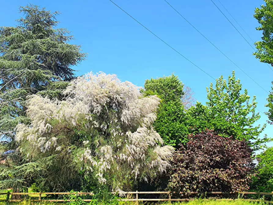 Immagine 26 di Villa in vendita  in Via Andrea Gloria a Teolo