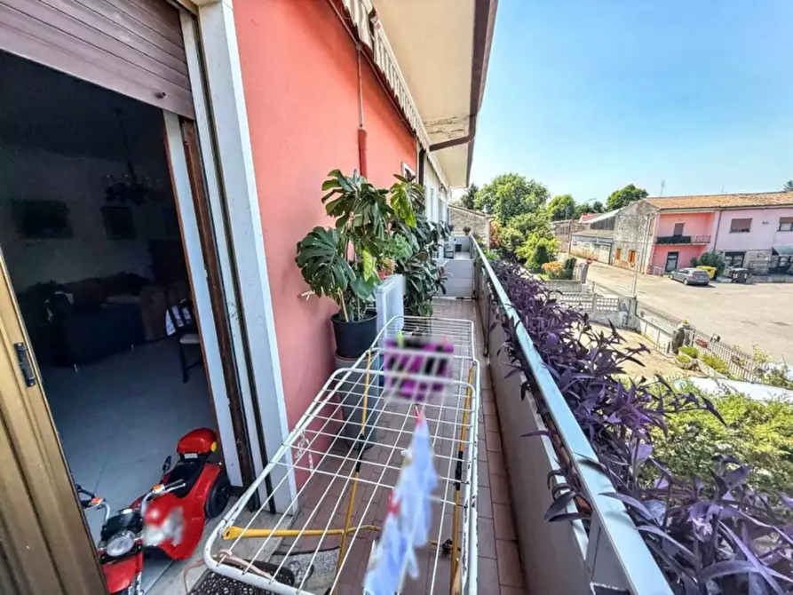 Immagine 6 di Appartamento in vendita  in Piazza della Repubblica a Zevio