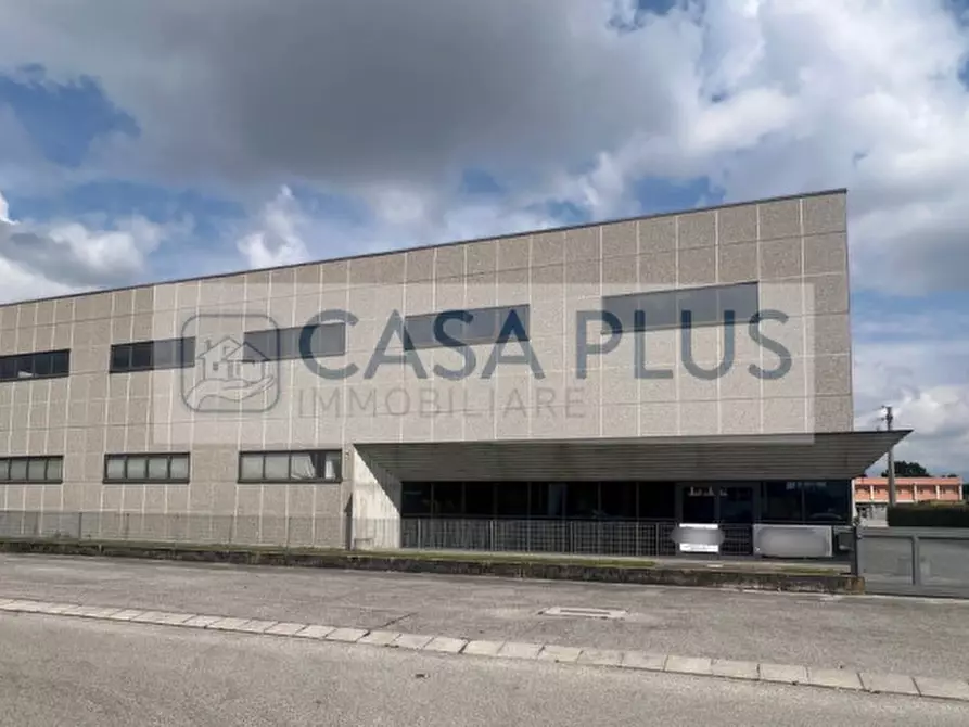 Immagine 2 di Capannone industriale in vendita  a Tombolo