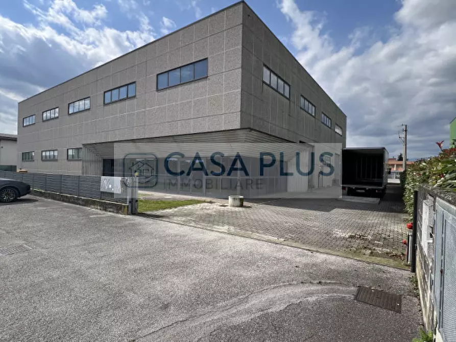 Immagine 4 di Capannone industriale in vendita  a Tombolo