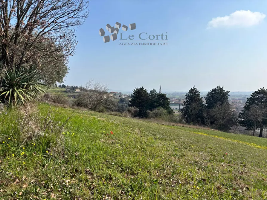 Immagine 1 di Rustico / casale in vendita  a Sossano