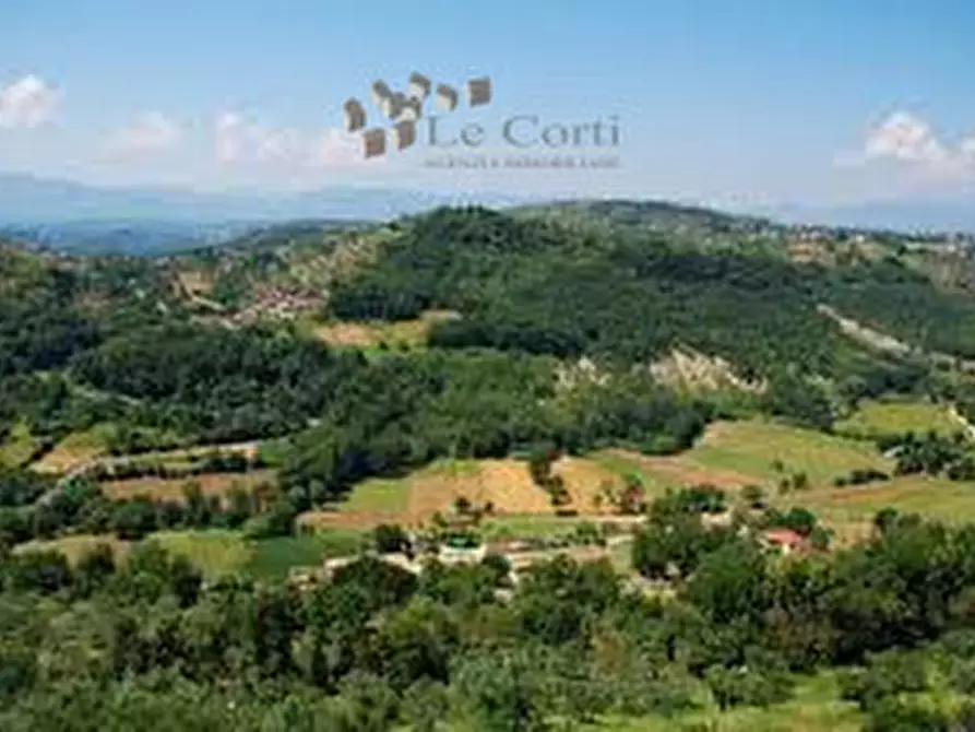 Immagine 2 di Rustico / casale in vendita  a Sossano