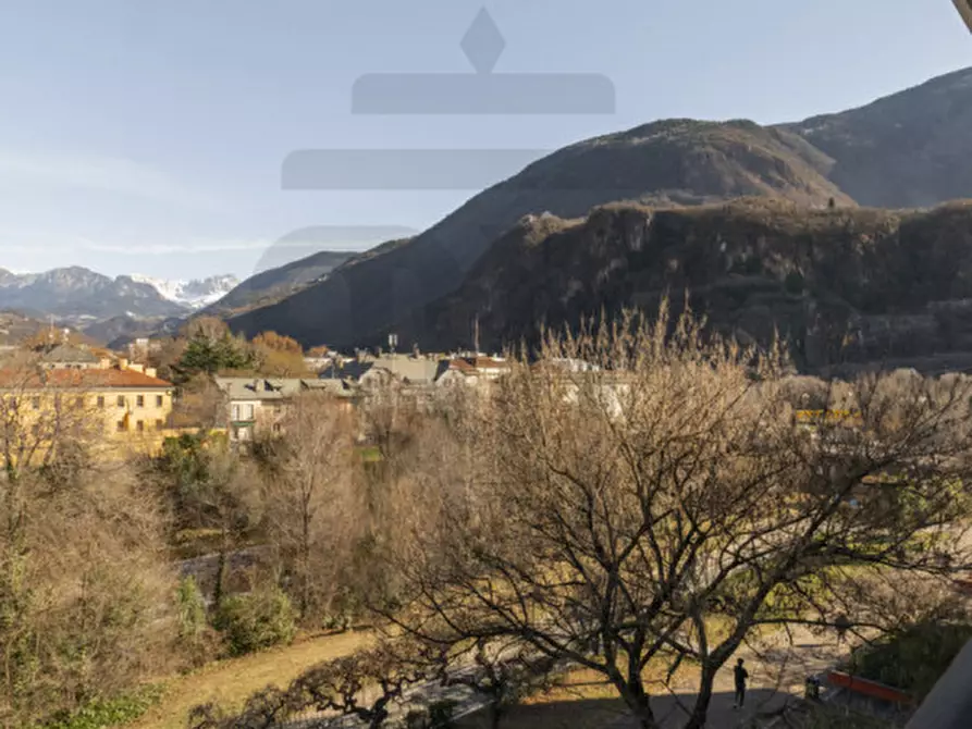Immagine 33 di Appartamento in vendita  in Via Lungotalvera S.Quirino 22 a Bolzano