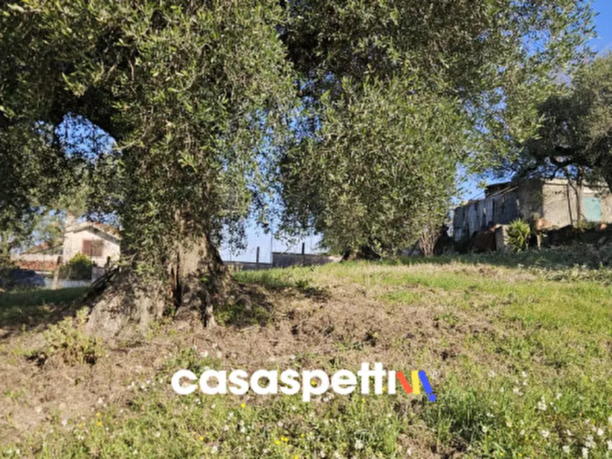 Immagine 3 di Terreno in vendita  in Via Montedoro a Monterotondo