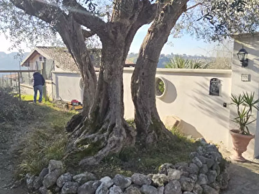Immagine 4 di Terreno in vendita  in Via Montedoro a Monterotondo