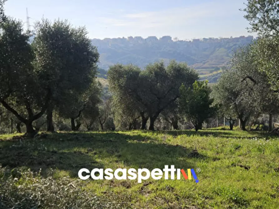 Immagine 5 di Terreno in vendita  in Via Montedoro a Monterotondo