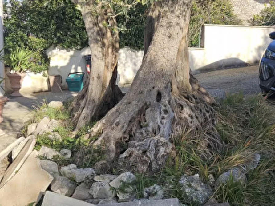 Immagine 6 di Terreno in vendita  in Via Montedoro a Monterotondo