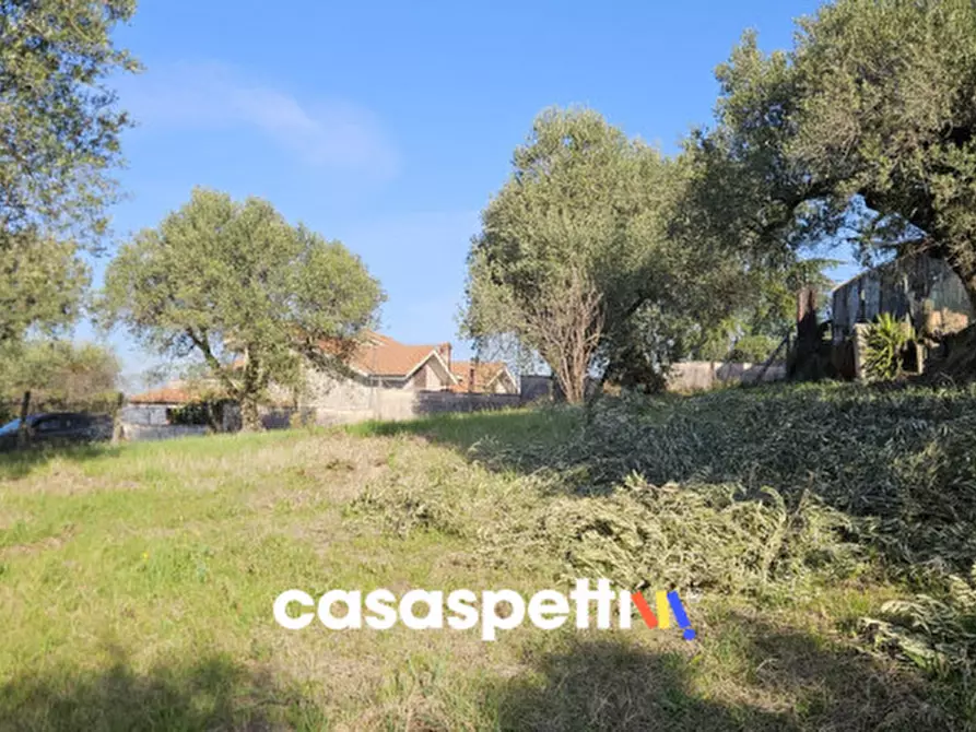 Immagine 7 di Terreno in vendita  in Via Montedoro a Monterotondo