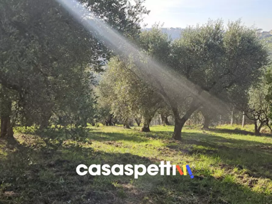 Immagine 9 di Terreno in vendita  in Via Montedoro a Monterotondo