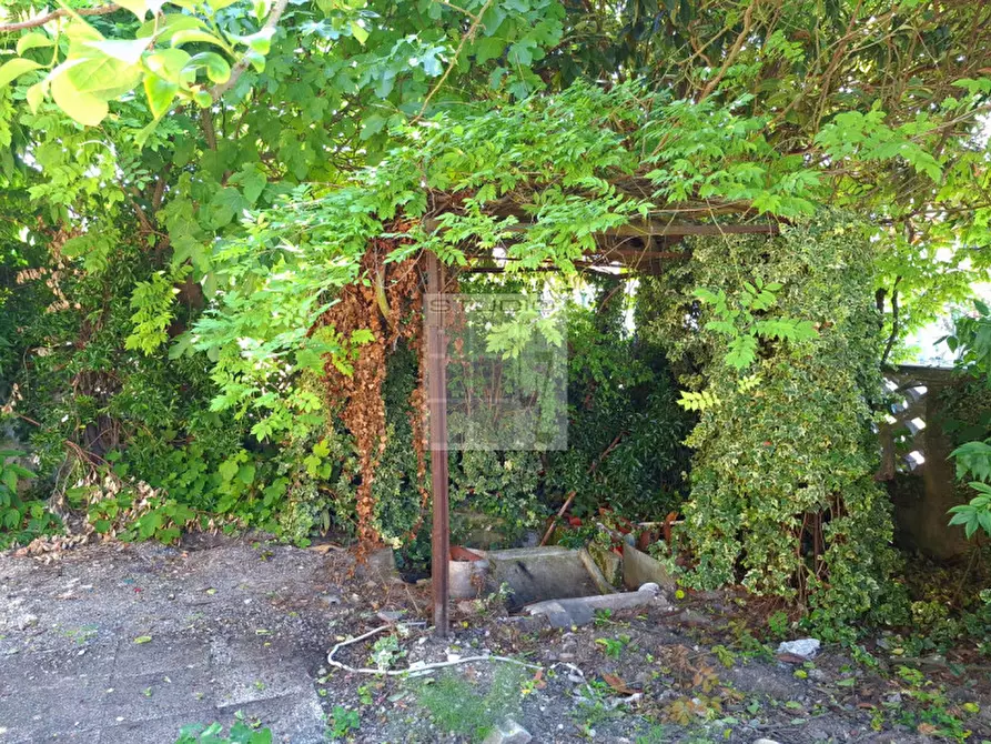 Immagine 7 di Casa indipendente in vendita  in Via Regina Cornaro a Piombino Dese