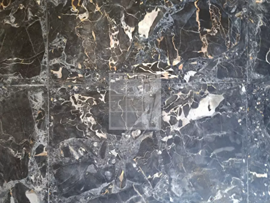 Immagine 18 di Casa indipendente in vendita  in Via Regina Cornaro a Piombino Dese