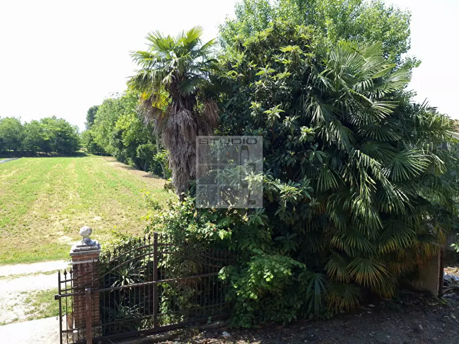 Immagine 37 di Casa indipendente in vendita  in Via Regina Cornaro a Piombino Dese
