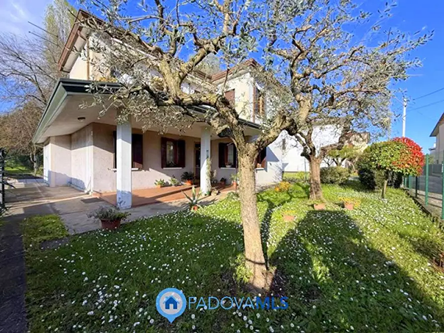 Immagine 1 di Casa indipendente in vendita  in Via Roma a Albignasego