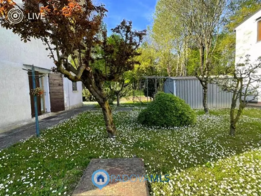 Immagine 15 di Casa indipendente in vendita  in Via Roma a Albignasego