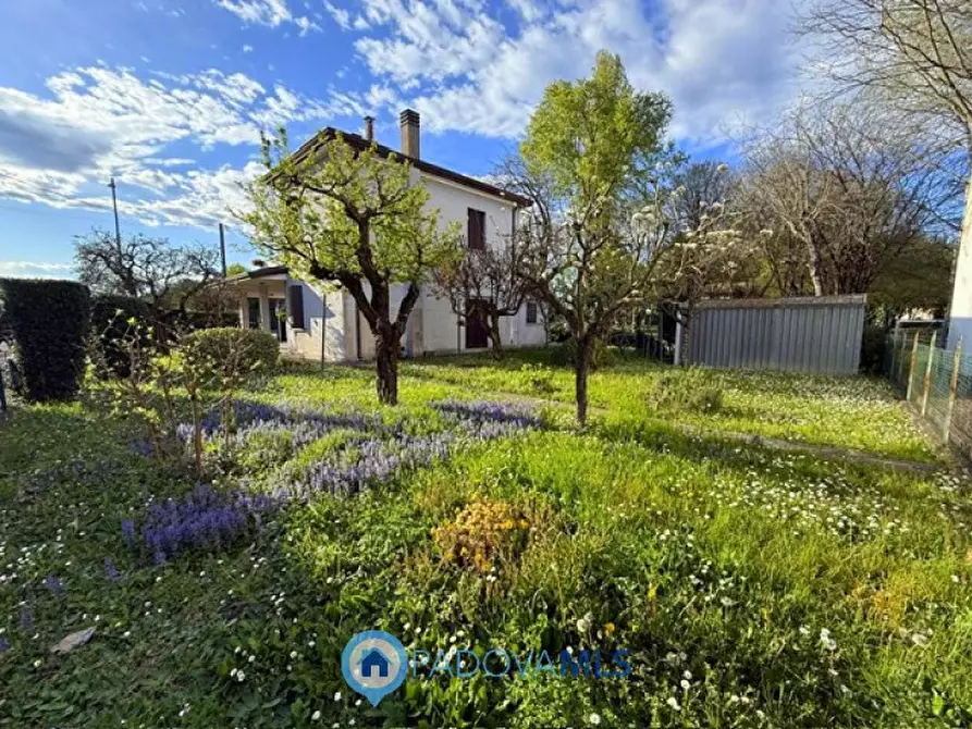 Immagine 16 di Casa indipendente in vendita  in Via Roma a Albignasego