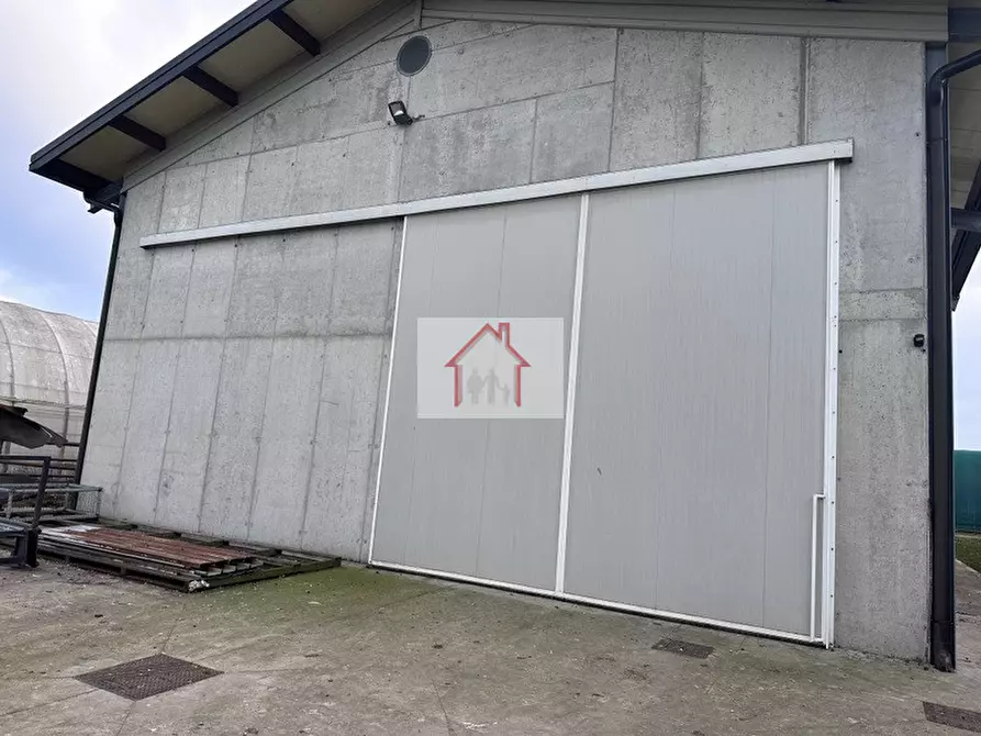 Immagine 2 di Capannone industriale in affitto  a Spresiano