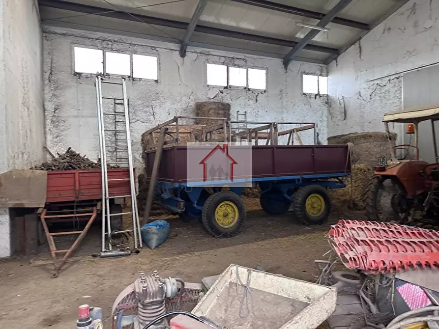 Immagine 3 di Capannone industriale in affitto  a Spresiano